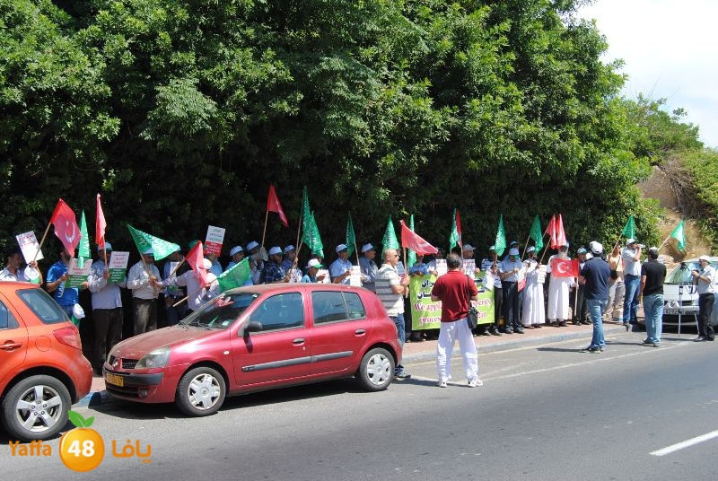 td turky impassy (67).JPG